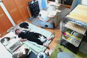 19時40分 ごろ