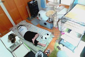 11時15分 ごろ
