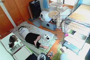 11時50分 ごろ