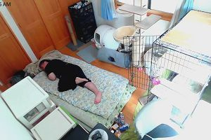 11時10分 ごろ