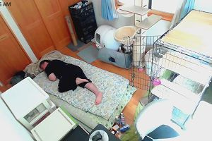 11時20分 ごろ