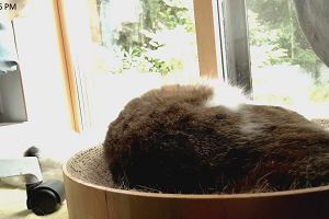 12時15分 ごろ