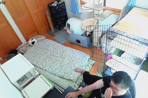 14時40分 ごろ