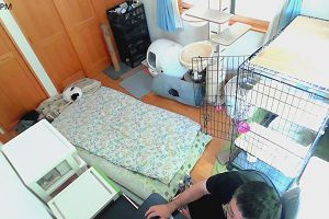 14時55分 ごろ