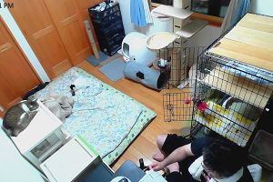 22時05分 ごろ