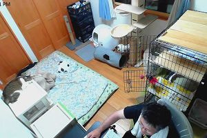 22時20分 ごろ