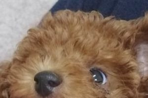 12時05分 ごろ