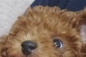 18時50分 ごろ