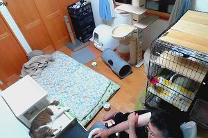 20時20分 ごろ