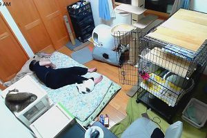 00時50分 ごろ