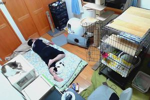 03時40分 ごろ