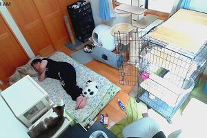 10時45分 ごろ