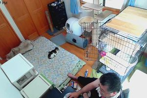 12時05分 ごろ