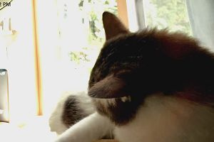 12時35分 ごろ