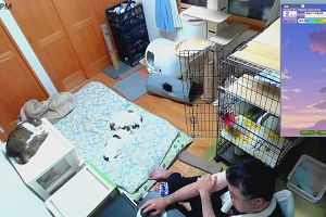 19時00分 ごろ