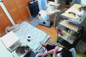 19時45分 ごろ