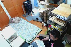 23時50分 ごろ