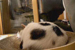 02時40分 ごろ