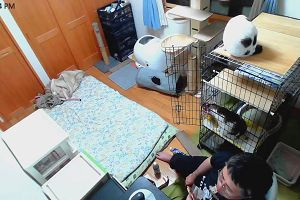 22時40分 ごろ