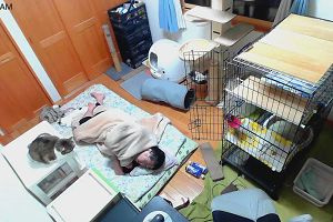 02時45分 ごろ