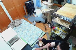 19時00分 ごろ
