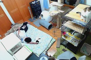 21時35分 ごろ
