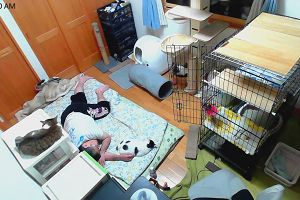 00時05分 ごろ
