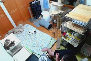 23時55分 ごろ