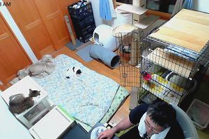 00時55分 ごろ