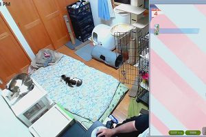 23時30分 ごろ