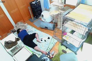 10時35分 ごろ