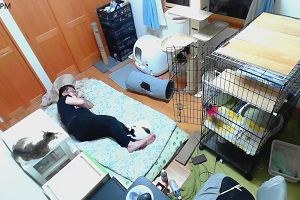 21時30分 ごろ