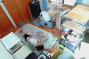 11時45分 ごろ