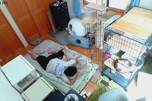 12時45分 ごろ
