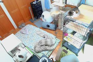 16時05分 ごろ