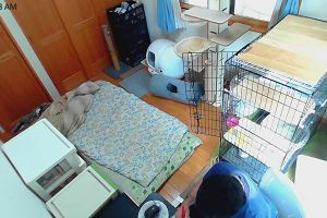 10時40分 ごろ