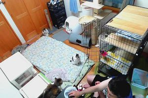 18時50分 ごろ