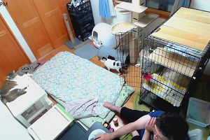 19時00分 ごろ