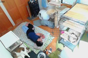 10時30分 ごろ