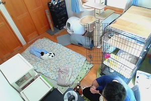 14時20分 ごろ