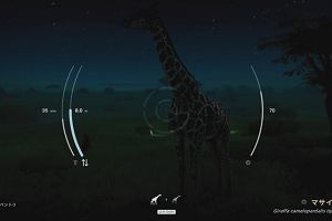 22時15分 ごろ