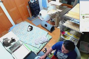 19時20分 ごろ