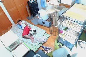 12時40分 ごろ