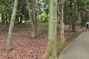 14時20分 ごろ