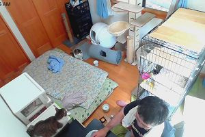 10時45分 ごろ