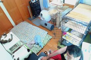 15時05分 ごろ