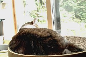 15時40分 ごろ