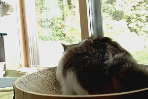 16時05分 ごろ