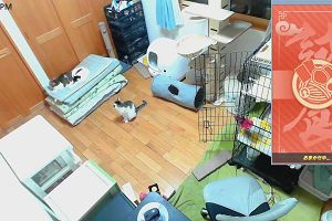 19時30分 ごろ
