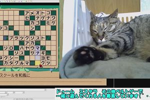19時40分 ごろ